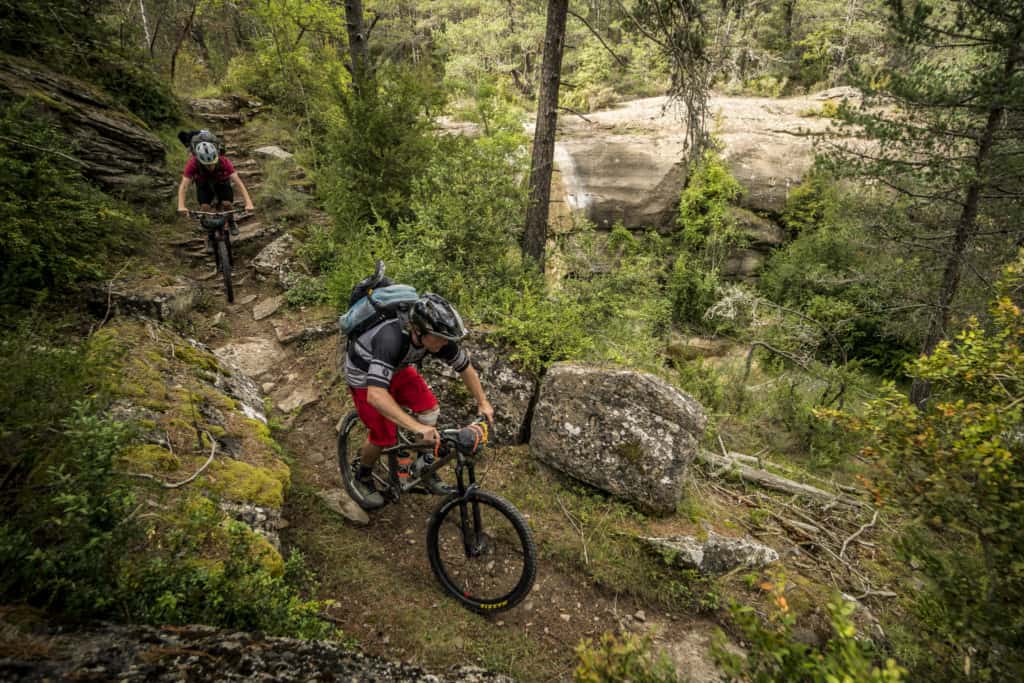 singletrack trail in forest