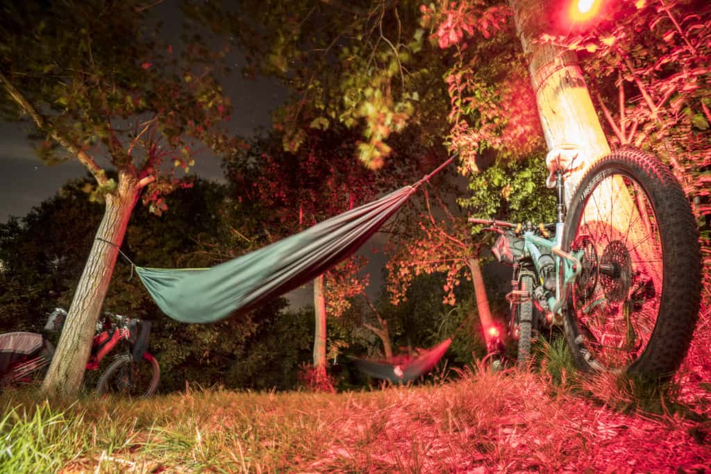 hammocks in the orchard under open skies